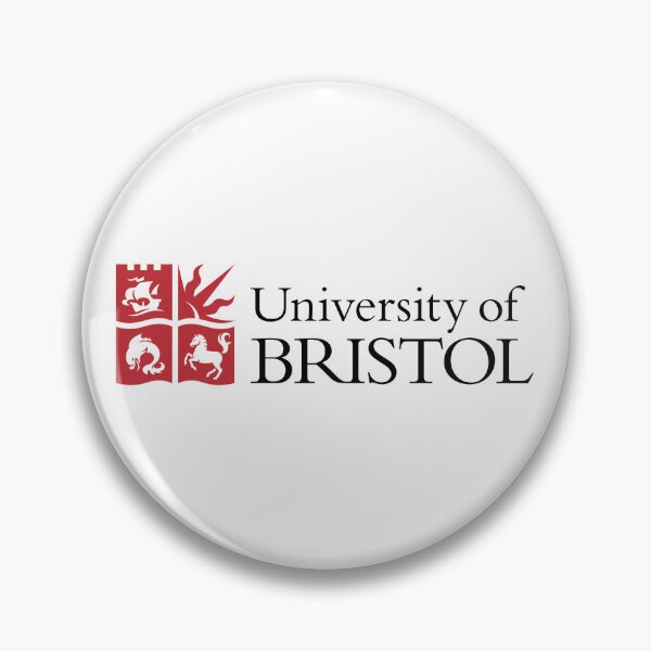 Aperçu de l'œuvre Université de Bristol créée et vendue par Zas9.