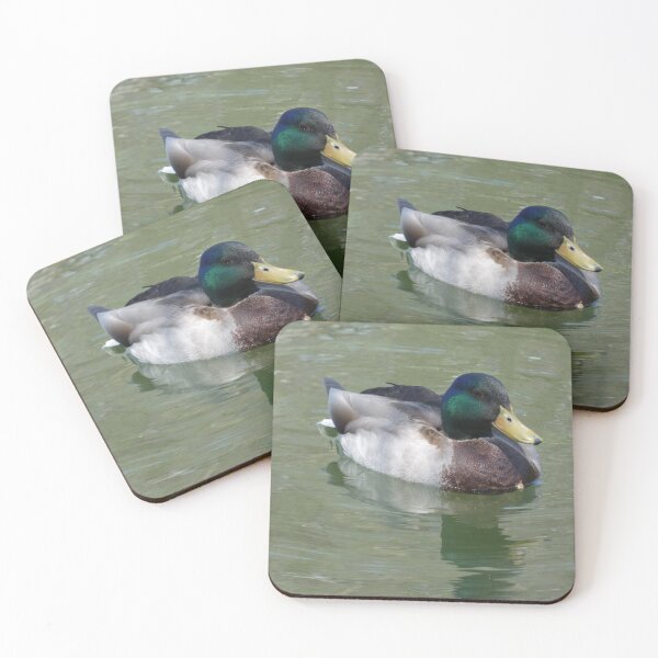 Item preview, Ánade real en Longhorn Shores designed and sold by Birds-by-Bovi.