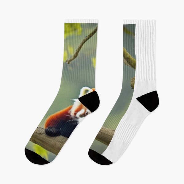 Item preview, Baby Red Panda.  Red Pandas designed and sold by LeanDesigns.