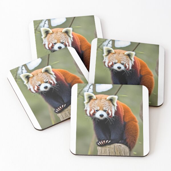 Item preview, Judging You Red Panda.  Red Pandas designed and sold by LeanDesigns.