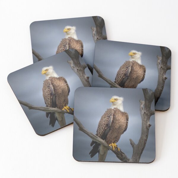 Item preview, Regal Eagle designed and sold by VisualVoyages.