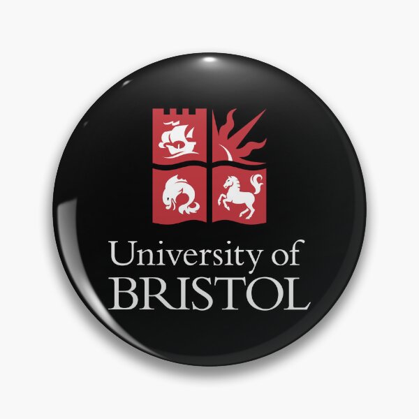 Aperçu de l'œuvre Université de Bristol créée et vendue par Zas9.