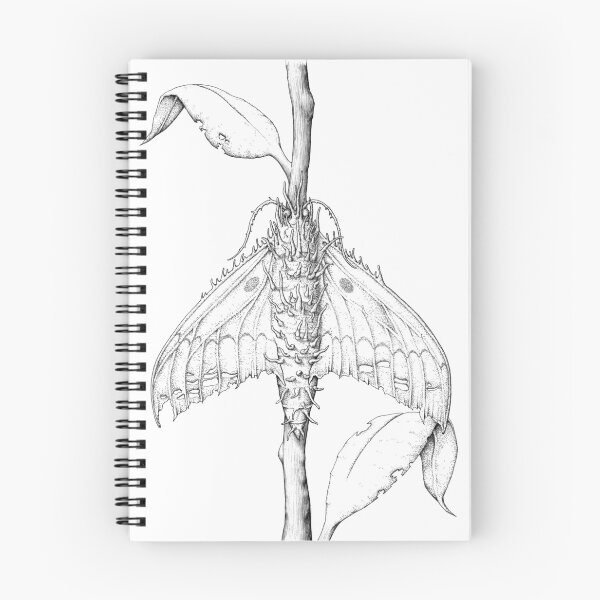 Item preview, Cordyceps Moth designed and sold by Joey Klarenbeek.