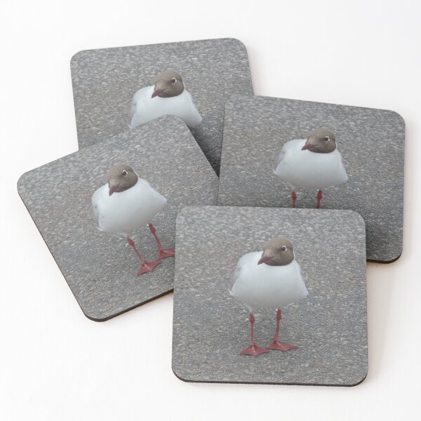 Item preview, Black-headed Seagull Requests a Fry designed and sold by Birds-by-Bovi.