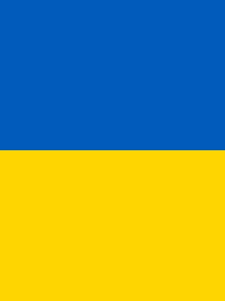 "Flag of Ukraine" Mini Skirt by Countries-Flags | Redbubble