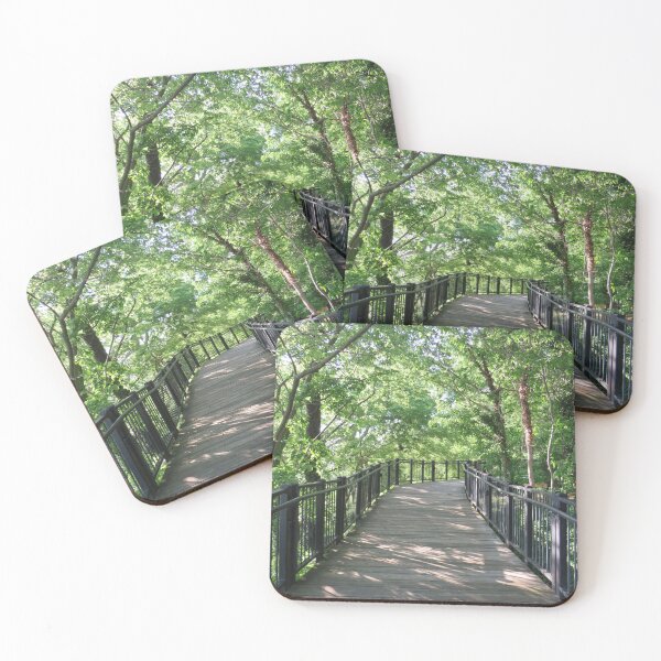 Item preview, Paseo por el bosque designed and sold by Tonia Delozier's Photography .
