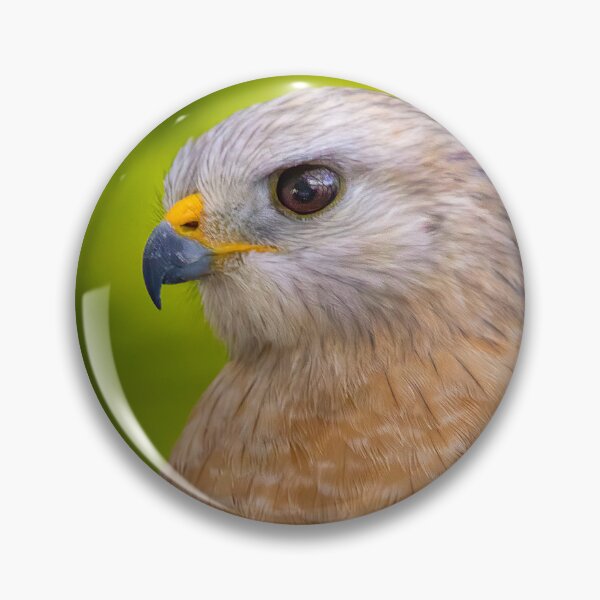 Item preview, Hawk Encounter designed and sold by VisualVoyages.