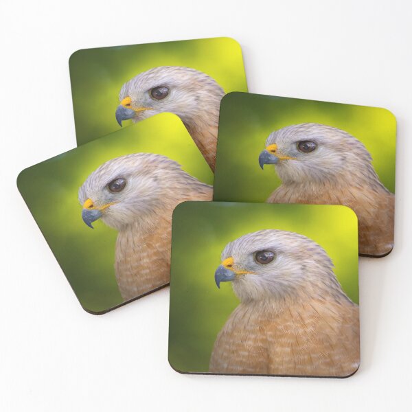 Item preview, Hawk Encounter designed and sold by VisualVoyages.