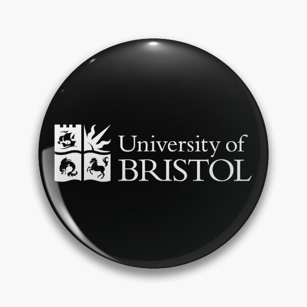 Aperçu de l'œuvre Université de Bristol créée et vendue par Zas9.