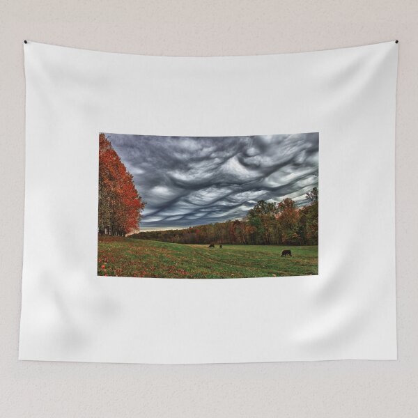 Item preview, Undulatus Asperatus Clouds poster designed and sold by Unfairsneaker.