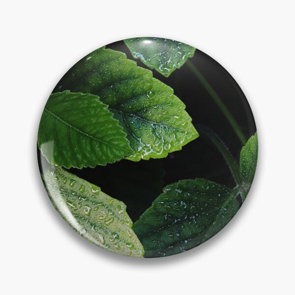 Item preview, a group of green leaves designed and sold by dualogy.