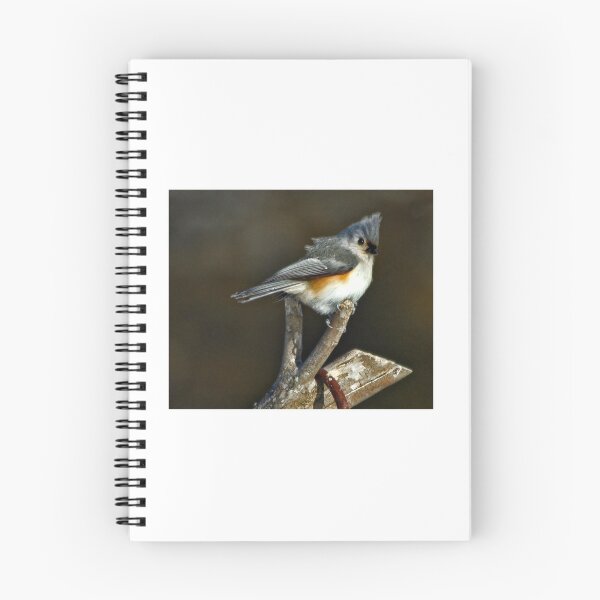 Item preview, Tufted Titmouse designed and sold by denise romano.