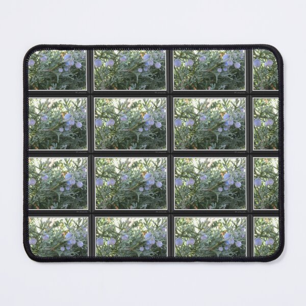 Item preview, Winter berries in blue. designed and sold by Nicholes Dream Visions.