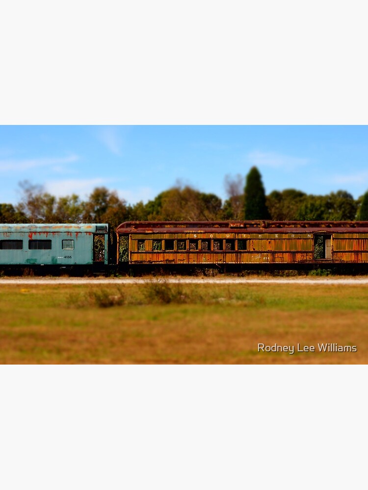 Resting Place by Rodwilliams