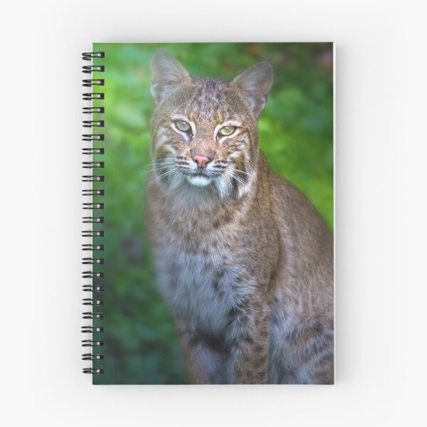 Item preview, Portrait of a Female Bobcat designed and sold by VisualVoyages.