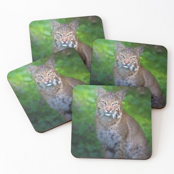 Item preview, Portrait of a Female Bobcat designed and sold by VisualVoyages.