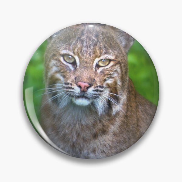 Item preview, Portrait of a Female Bobcat designed and sold by VisualVoyages.