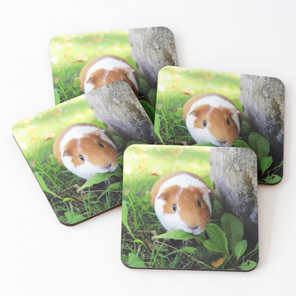 Item preview, Hamster designed and sold by ReljaX.