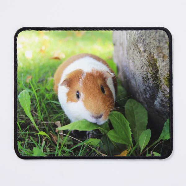 Item preview, Hamster designed and sold by ReljaX.