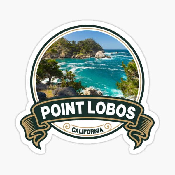 Point Lobos Polaroid Sticker