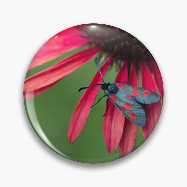Item preview, Echinacea and moth designed and sold by Ajo Fernández.