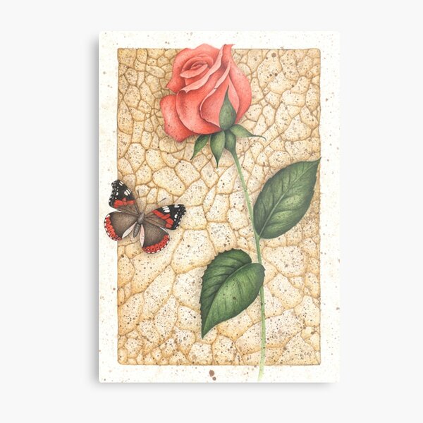 Schmetterling und Rose Metallbild