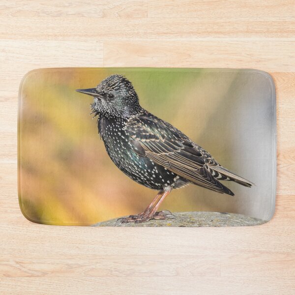 Item preview, Starling designed and sold by LaurenTucker.