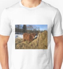 Scottish Highland Cattle Calf 1325 Unisex T-Shirt