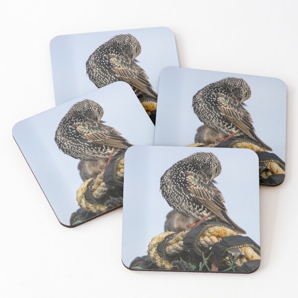 Item preview, Common Starling designed and sold by LaurenTucker.