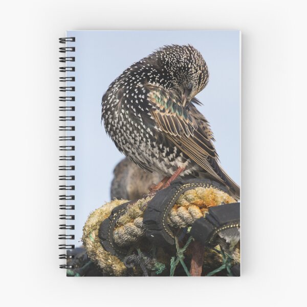 Item preview, Common Starling designed and sold by LaurenTucker.