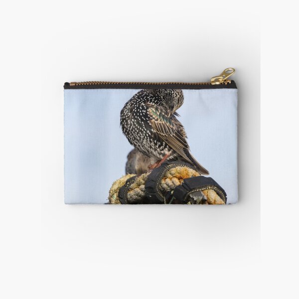 Item preview, Common Starling designed and sold by LaurenTucker.