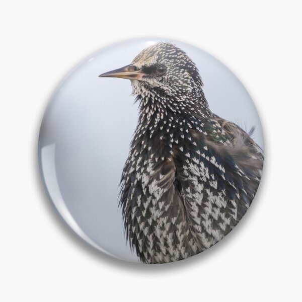 Item preview, Common Starling designed and sold by LaurenTucker.
