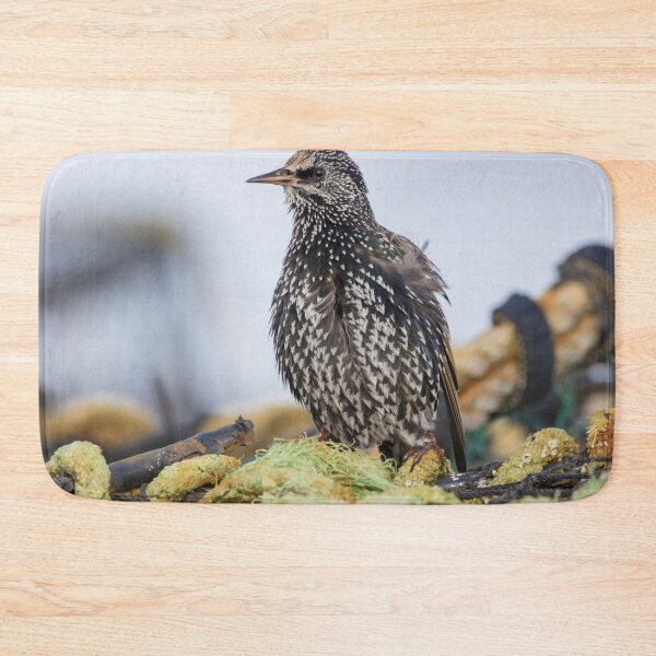 Item preview, Common Starling designed and sold by LaurenTucker.