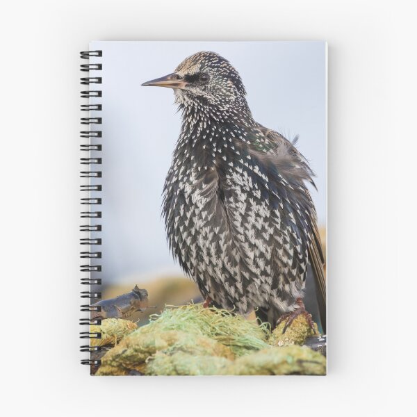 Item preview, Common Starling designed and sold by LaurenTucker.