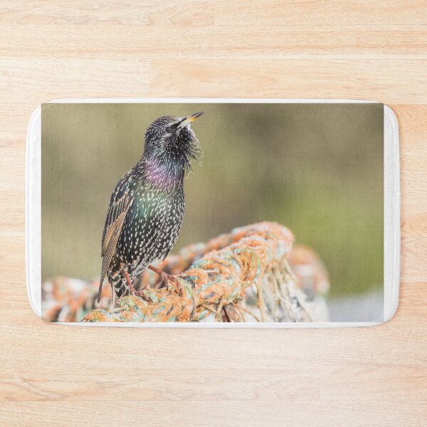Item preview, Common Starling designed and sold by LaurenTucker.
