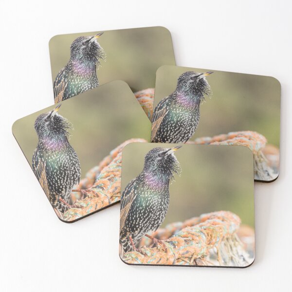 Item preview, Common Starling designed and sold by LaurenTucker.