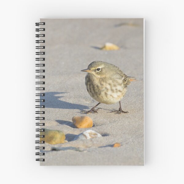 Item preview, Rock Pipit designed and sold by LaurenTucker.