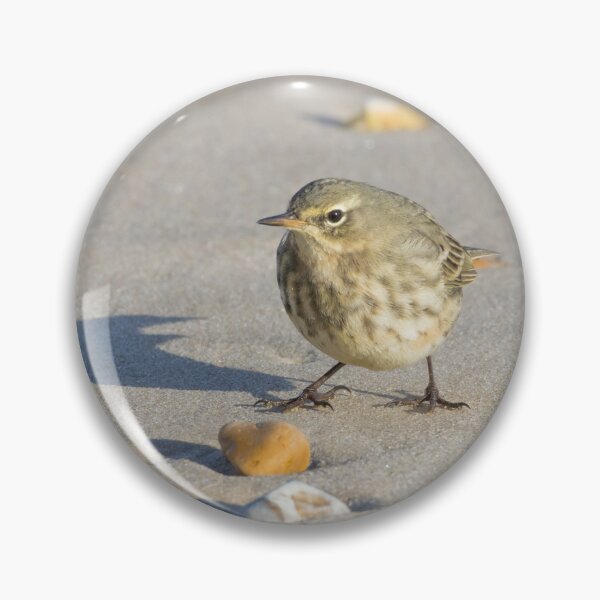 Item preview, Rock Pipit designed and sold by LaurenTucker.