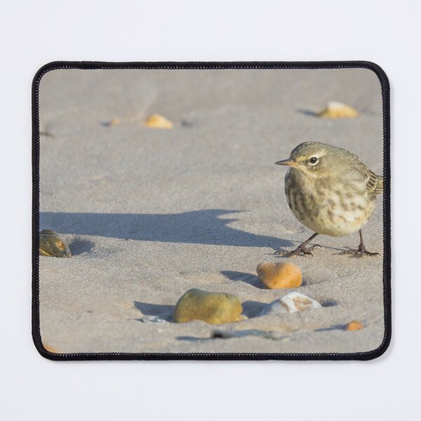 Item preview, Rock Pipit designed and sold by LaurenTucker.