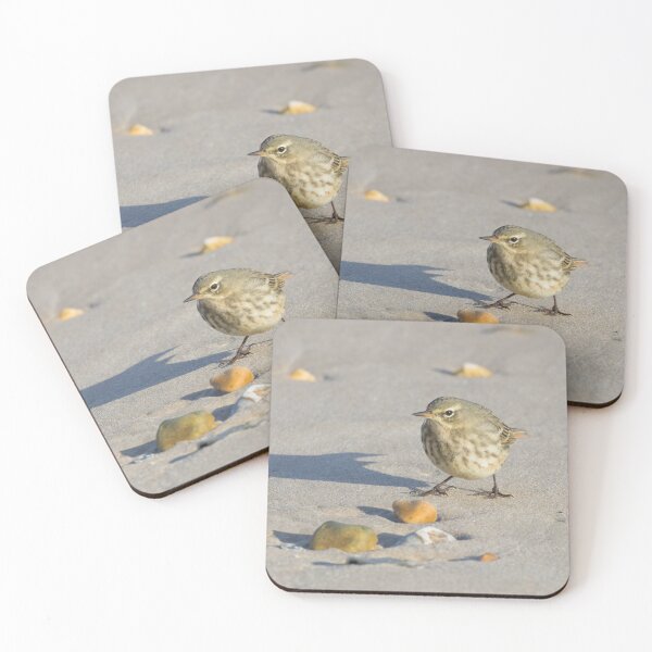 Item preview, Rock Pipit designed and sold by LaurenTucker.