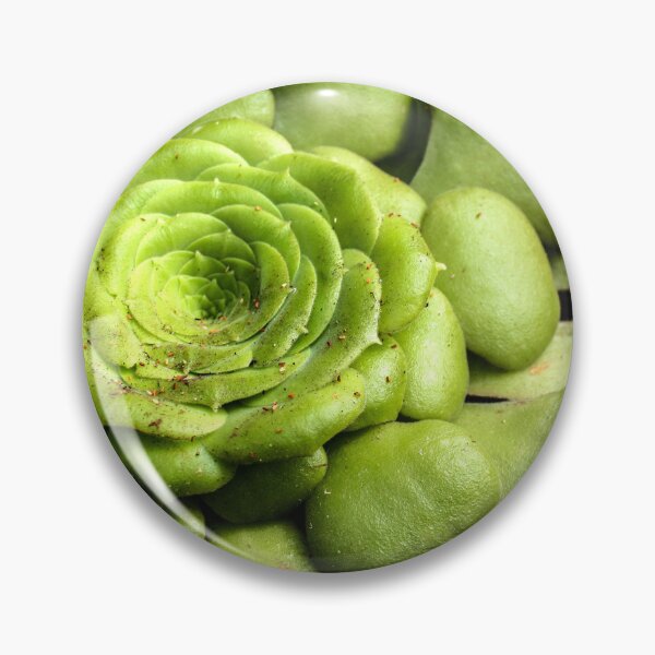 Item preview, houseleek photography designed and sold by light-blower.