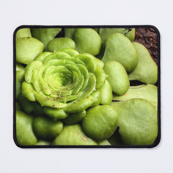 Item preview, houseleek photography designed and sold by light-blower.