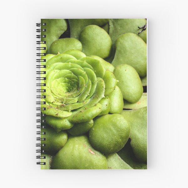Item preview, houseleek photography designed and sold by light-blower.