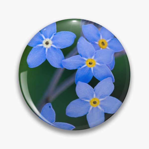 Item preview, Myosotis designed and sold by Ajo Fernández.