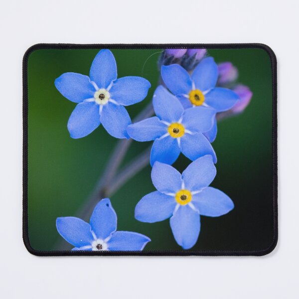 Item preview, Myosotis designed and sold by Ajo Fernández.