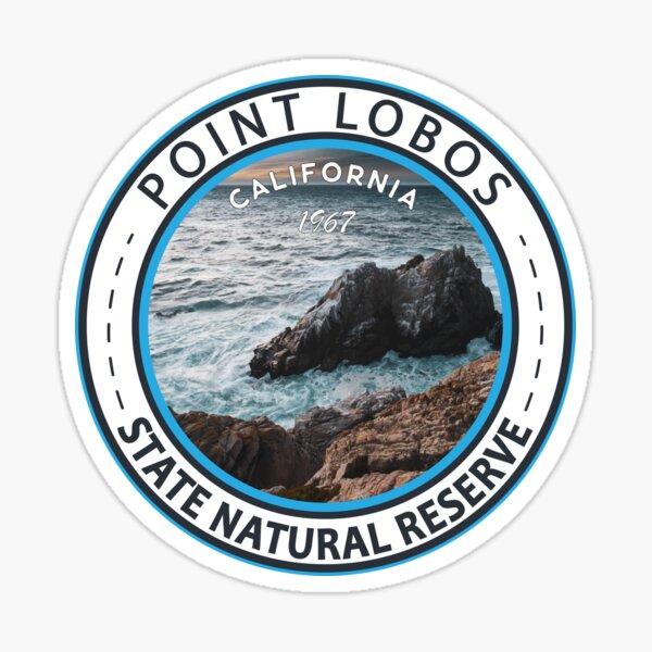 Point Lobos Polaroid Sticker
