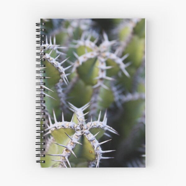 Item preview, Cacti 4 designed and sold by light-blower.