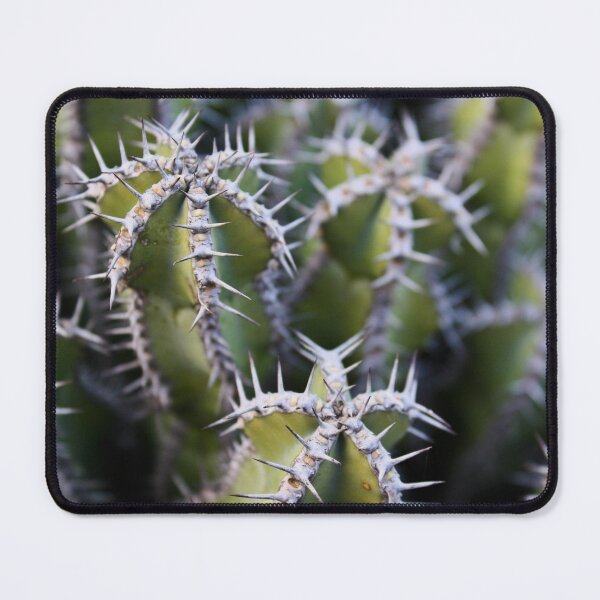 Item preview, Cacti 4 designed and sold by light-blower.