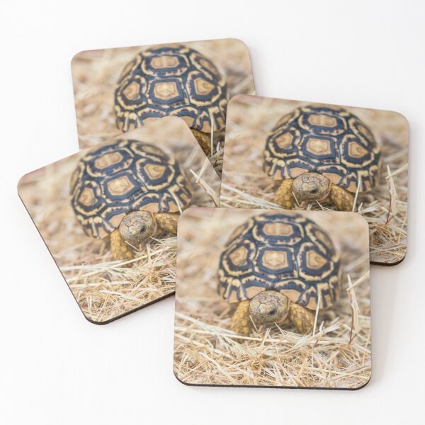 Item preview, Tortoise designed and sold by Ajo Fernández.