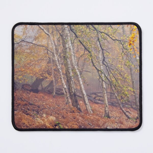 Item preview, Autumn Woodland Scene designed and sold by AnitaLynne.